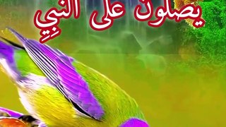 Heart Touching Recitation Of Qur'an with beautiful voice  Récitation du Coran   #reelsvideoシ #alshaikhabdulaziz #recitation_du_coran_et_doua #foryoupage #islam #viralvideo