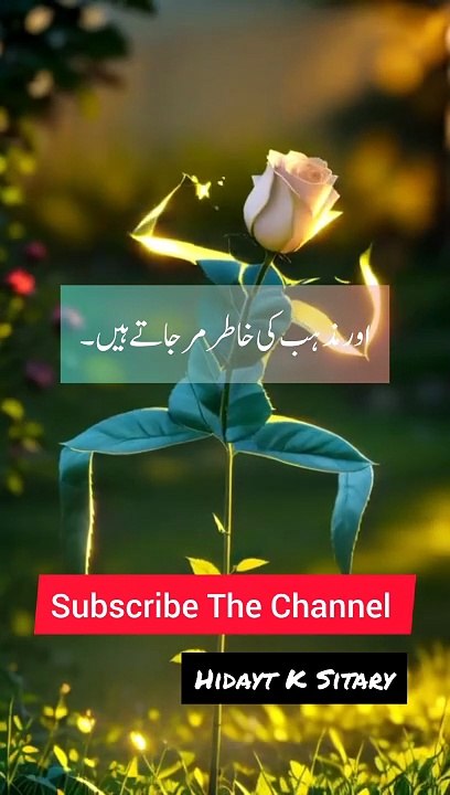 Aqwal e Zareen