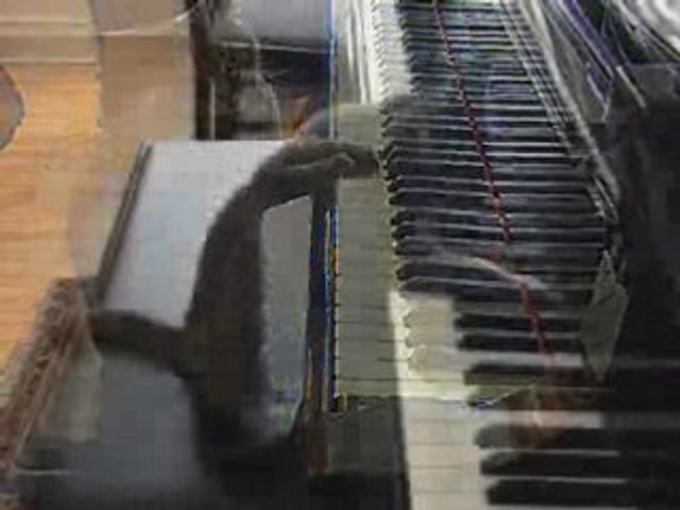 Un chat qui joue au piano