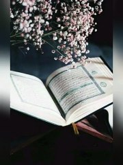 Quran Majeed |Beautiful video #short