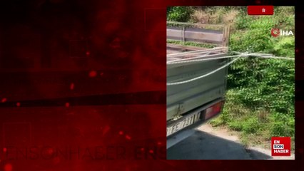 Rize'de Karadeniz usulü çay taşıma yöntemi