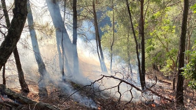 Yıldırım isabet eden ormanlık alanda çıkan yangın söndürüldü