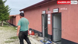 Yozgat'ta Kınalı Keklik Üretimi Devam Ediyor