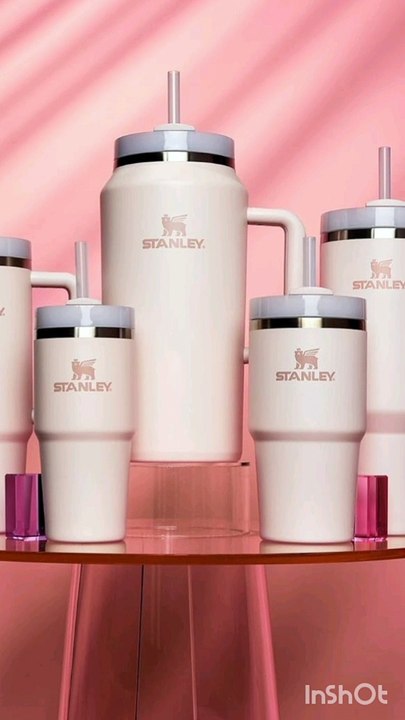 Stainless Steel Vacuum Insulated Tumbler