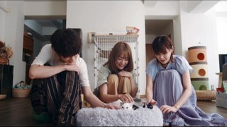 映画『三日月とネコ』本編映像