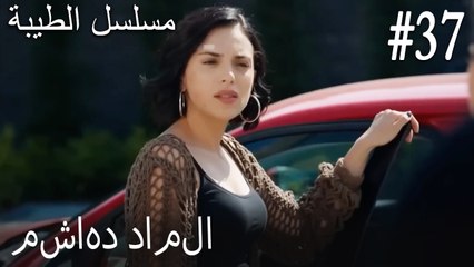 37- مشاهد داملا