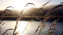2480792-hd_1920_1080_24fps