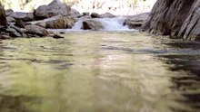 4174024-hd_1920_1080_24fps