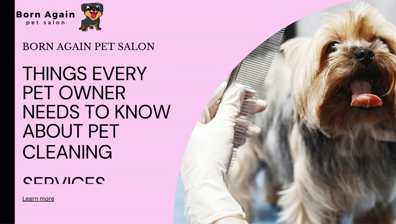 Things every pet owner needs to know about pet cleaning services CA