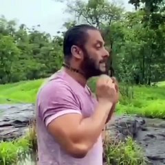 Bigg Boss छोड़ने के बाद सलमान खान कर रहे खेती-किसानी, हाथ में फावड़ा, ट्रैक्टर चलाते दिखे एक्टर