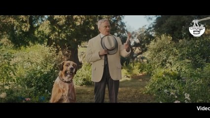 Chú chó nhà này đã sánh đôi với cô sói hoang dã - REVIEW PHIM - TIẾNG GỌI NƠI HOANG DÃ