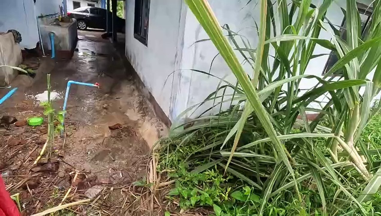 Netzwerken. Hab ich immer schon gerne gemacht.