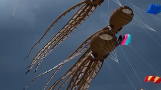 Églantine au festival de cerfs-volants de Berck-sur-Mer