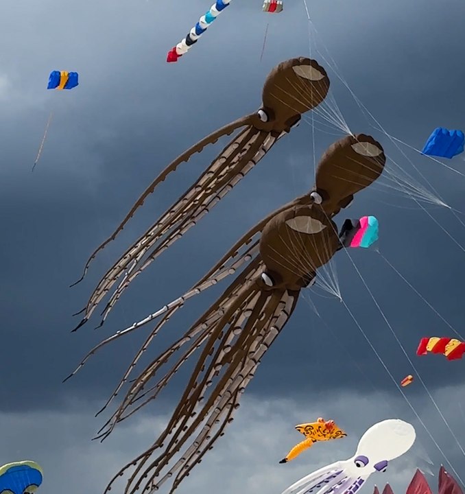 Églantine au festival de cerfs-volants de Berck-sur-Mer