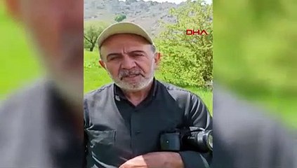 Türkiye'nin en zehirli yılanı kameraya yansıdı