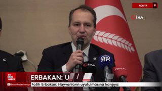 Fatih Erbakan: Hayvanların uyutulmasına karşıyız
