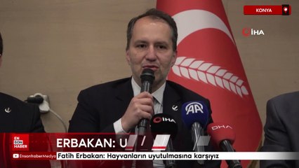 Fatih Erbakan: Hayvanların uyutulmasına karşıyız