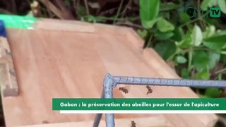 [#Reportage] Gabon : la préservation des abeilles pour l'essor de l'apiculture