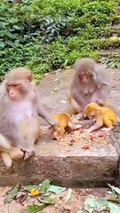 Trending Viral Content 🌟