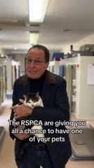 Win the chance to name a pet in Peter James' next novel in RSPCA raffle