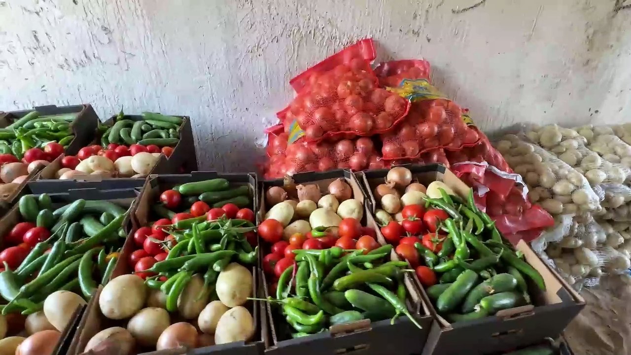 Gazze Sebze Dağıtımı