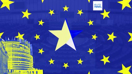 ¿Qué haría si fuera eurodiputado...respecto al poder adquisitivo?