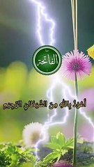 Surah fatihah tilawat | quran video|