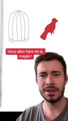 Test de magie (Exclu Dailymotion)