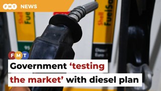 Govt ‘testing the market’ with diesel plan, says economist