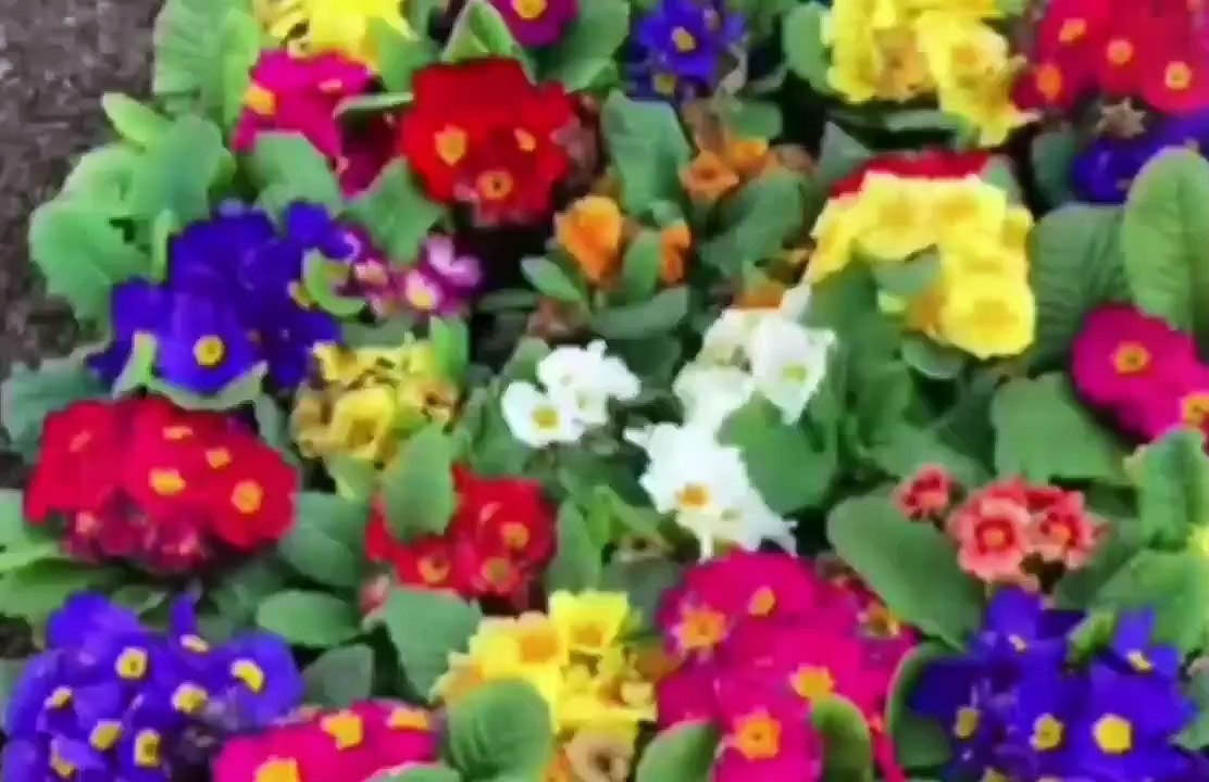 Life is a paradise