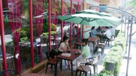 Tập 18 - Tiểu Thư Quạ Đen Và Tiên Sinh Thằn Lằn (Thuyết Minh) | Hình Phi , Lưu Nhuế Lân , Nhậm Gia Luân , Triệu Dịch Hoan
