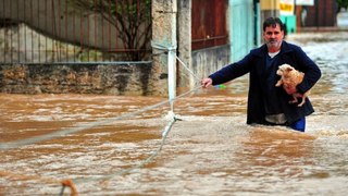 ¿Cuáles Son Los Síntomas Y Cómo Protegerse De La Leptospirosis?