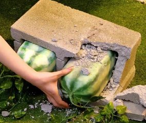 These gardening hacks totally worth your attention!