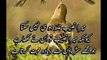 Urdu poetry | Islamic urdu quotes | Islamic status
