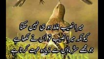 Urdu poetry | Islamic urdu quotes | Islamic status