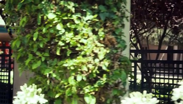 Molly Hartley - Pakt mit dem Bösen (2008) stream deutsch anschauen