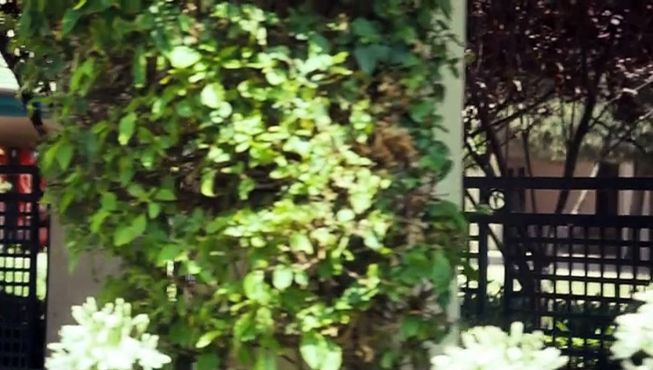 Molly Hartley - Pakt mit dem Bösen (2008) stream deutsch anschauen