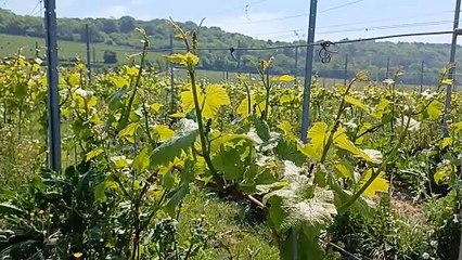 The CEO of MDCV UK Gary Smith explains plans for its site in Luddesdown