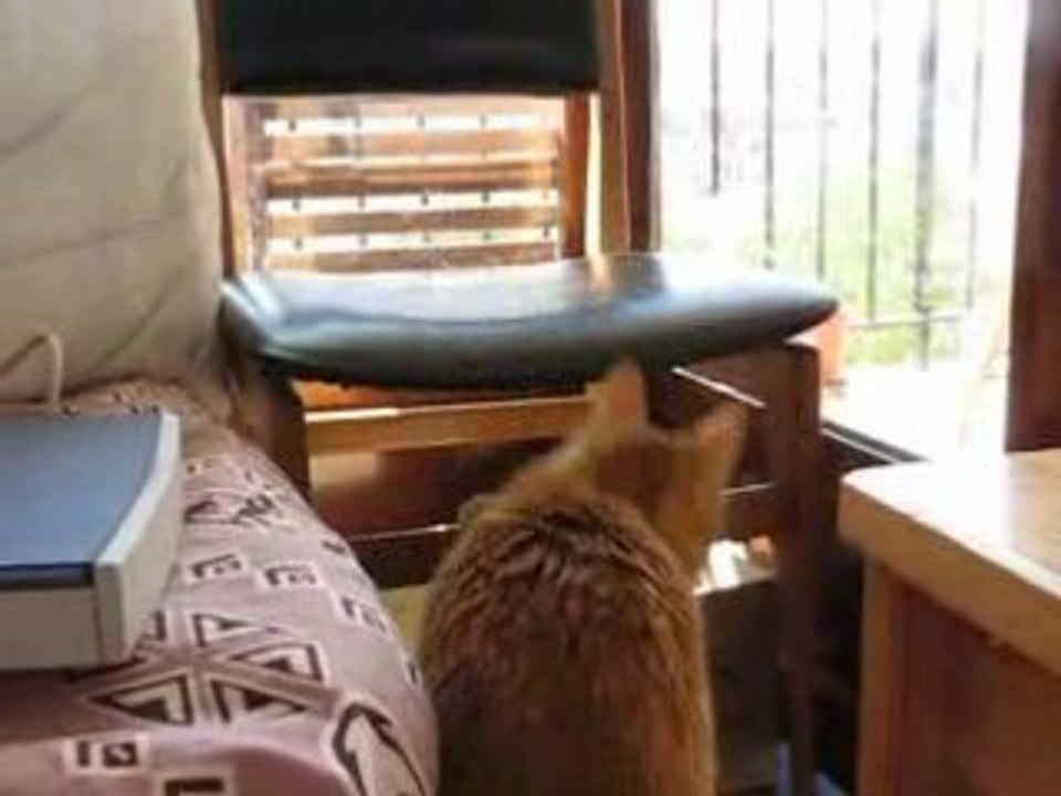 MVI_4722 Patxi