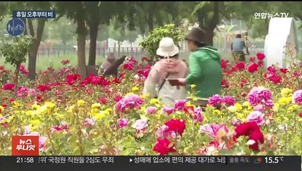 봄과 여름의 경계…일요일 밤사이 돌풍·벼락 동반 요란한 비