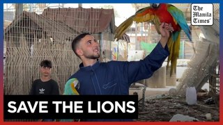 Gaza zookeeper fears for his animals as war takes its toll