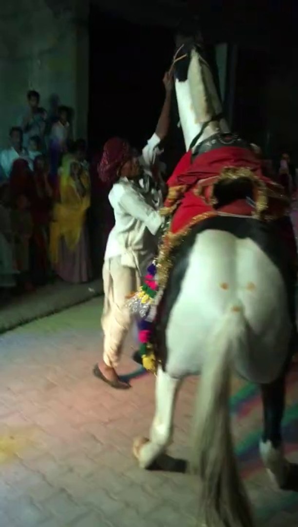 ⁣Famous horse dance