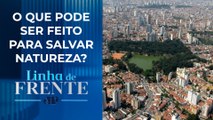 Como o desmatamento em grandes centros prejudica o meio ambiente? Bancada comenta | LINHA DE FRENTE