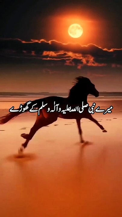 میرے نبی کے گھوڑے