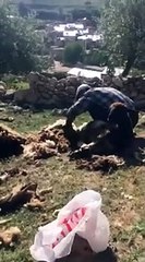 İlihili Dengbej HISEN