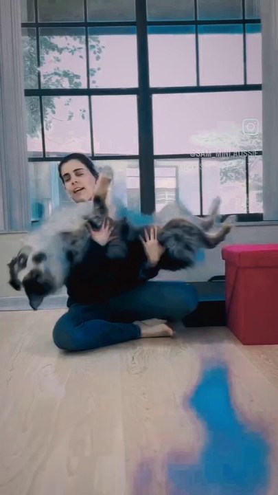 Funny...funny dog...