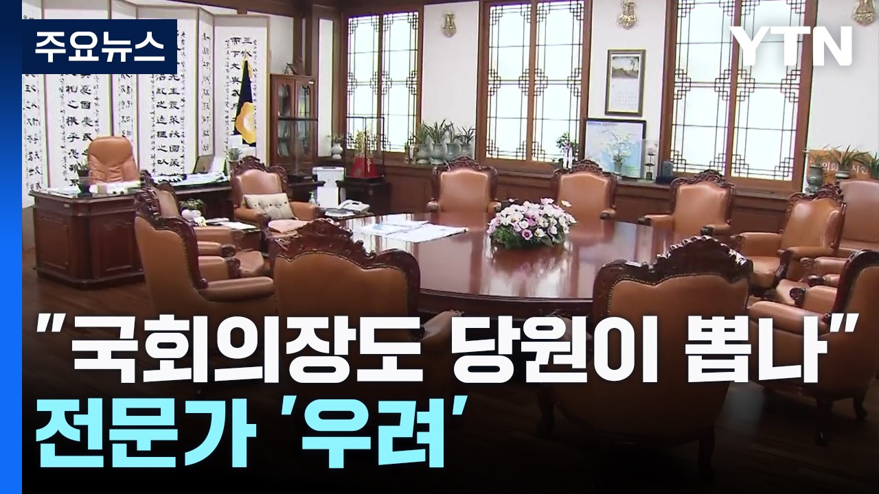 "무소속 국회의장도 당원이 뽑나"...전문가 대부분 '우려' / YTN