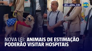 Animais de estimação poderão vistar hospitais