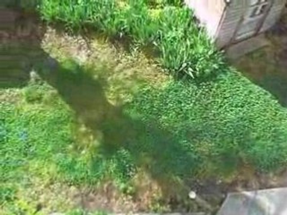 Vue sur jardin appartement roanne fenetre chambre appart vendu en benefice par ze trader