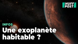 Cette exoplanète fascinante ressemble à la Terre (mais il faut vérifier un élément essentiel)